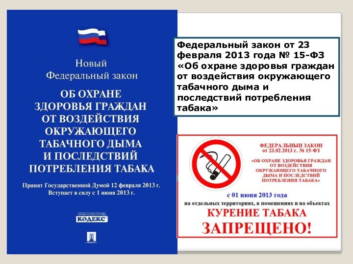 Федеральный закон от 23 февраля 2013 года № 15-ФЗ «Об охране здоровья граждан