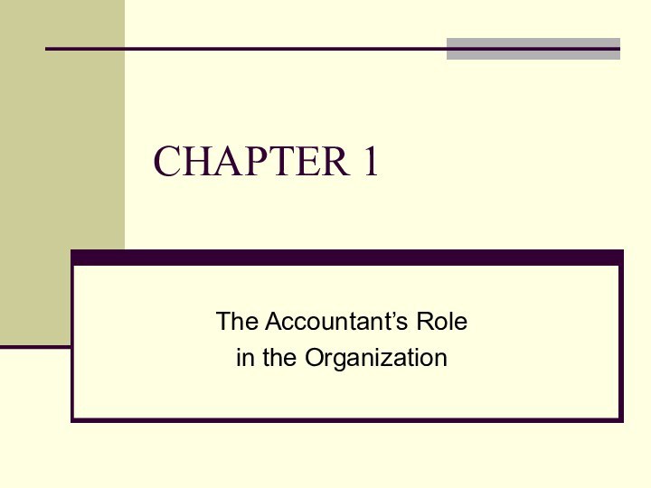 CHAPTER 1The Accountant’s Role in the Organization