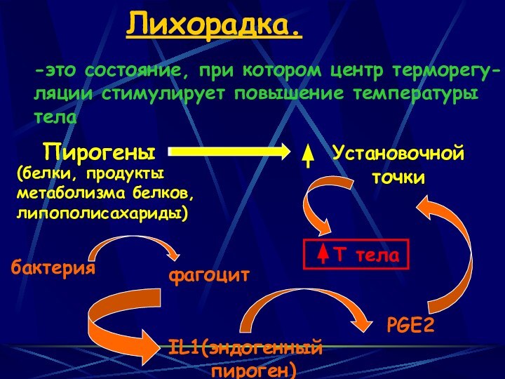 Лихорадка.-это состояние, при котором центр терморегу-ляции стимулирует повышение температурытелаПирогены(белки, продуктыметаболизма белков,липополисахариды)бактерияфагоцитIL1(эндогенный   пироген)PGE2