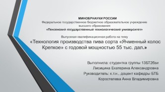 Технология производства пива сорта Ячменный колос Крепкое с годовой мощностью 55 тыс. дал