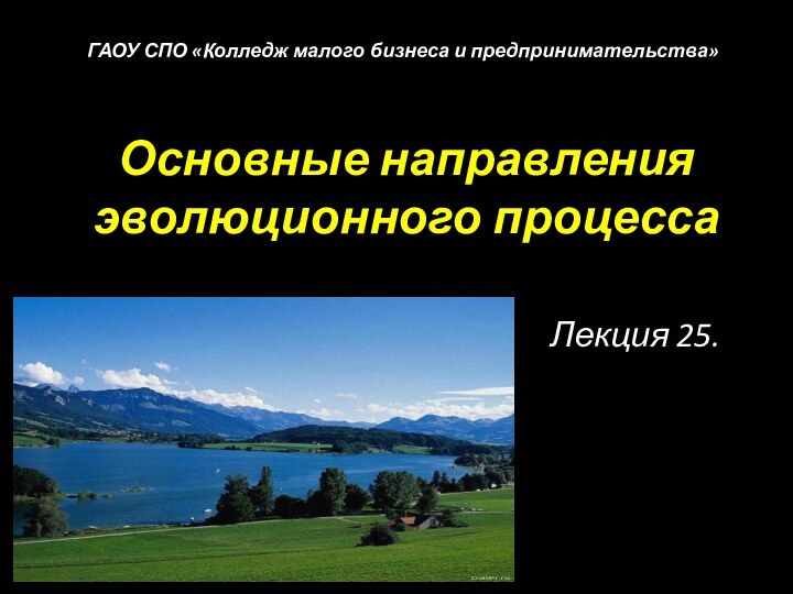 Основные направления эволюционного процесса Лекция 25. ГАОУ СПО «Колледж малого бизнеса и предпринимательства»
