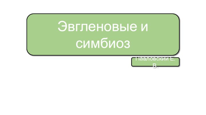 Эвгленовые и симбиозПавловский Е.В.