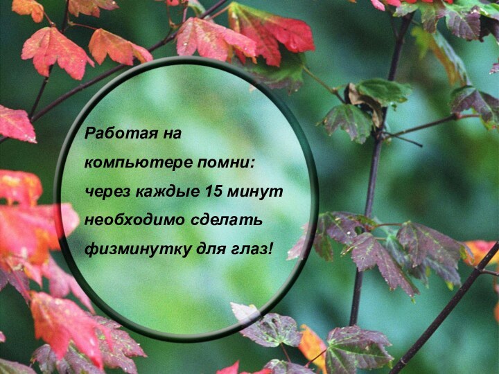 Работая на компьютере помни: через каждые 15 минут необходимо сделать физминутку для глаз!