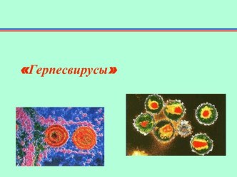 Герпетическая инфекция