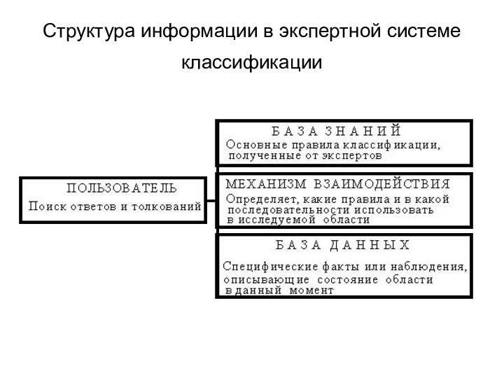 Структура информации в экспертной системе классификации