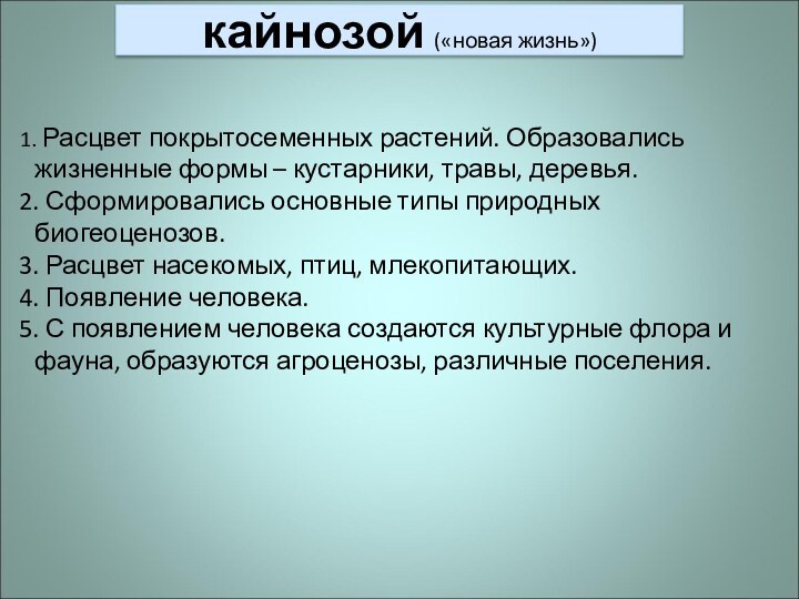 кайнозой («новая жизнь») Расцвет покрытосеменных растений. Образовались жизненные формы – кустарники, травы,