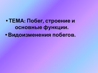 Побег, строение и основные функции. Видоизменения побегов