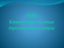 Тип кишечнополостные (пресноводная гидра)