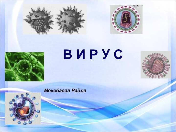 В И Р У С Мекебаева Райла