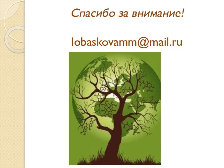 Спасибо за внимание!  lobaskovamm@mail.ru