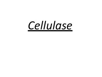 Cellulase. Introduction (source)