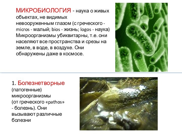 МИКРОБИОЛОГИЯ - наука о живых объектах, не видимыхневооруженным глазом (с греческого -