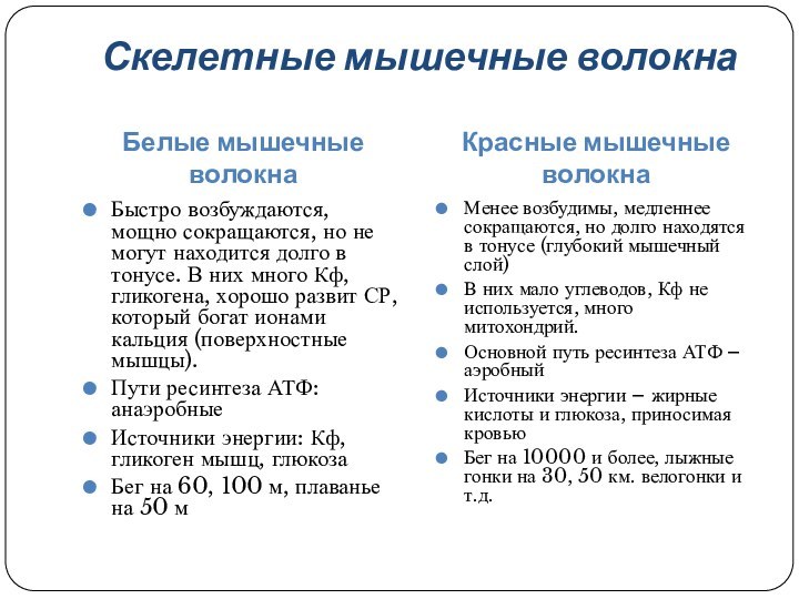 Скелетные мышечные волокнаБелые мышечные волокнаКрасные мышечные волокнаБыстро возбуждаются, мощно сокращаются, но не