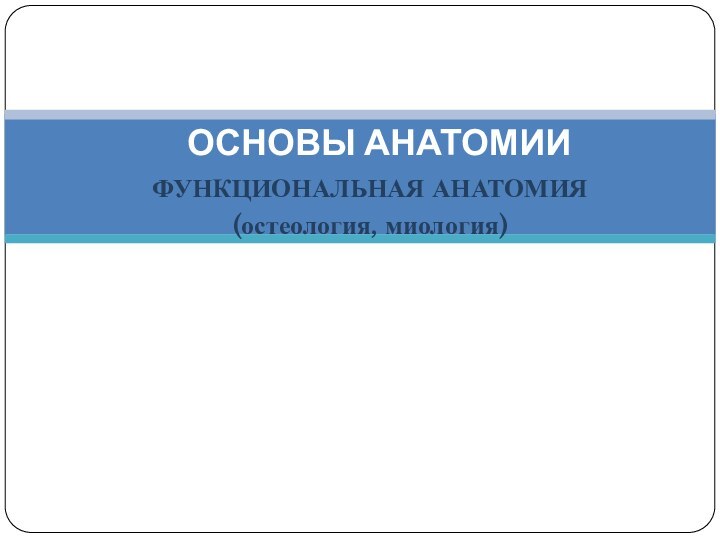 ФУНКЦИОНАЛЬНАЯ АНАТОМИЯ(остеология, миология) ОСНОВЫ АНАТОМИИ