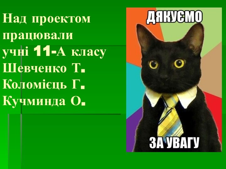 Над проектом  працювали учні 11-А класу Шевченко Т.  Коломієць Г. Кучминда О.