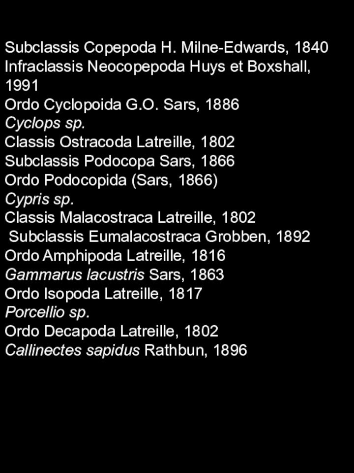 Subclassis Copepoda H. Milne-Edwards, 1840Infraclassis Neocopepoda Huys et Boxshall, 1991Ordo Cyclopoida G.O. Sars, 1886Cyclops sp. Classis Ostracoda Latreille, 1802Subclassis Podocopa Sars,