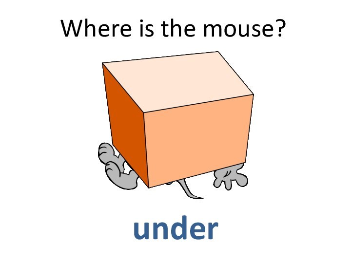Where is the mouse?under