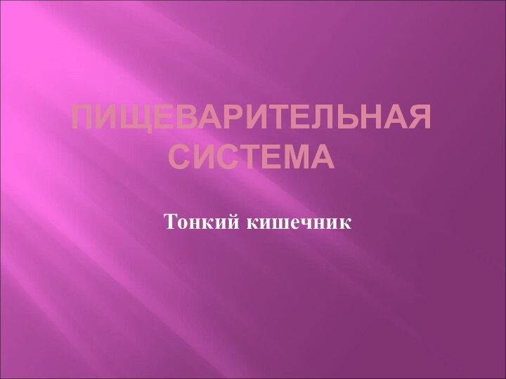 Тонкий кишечникПИЩЕВАРИТЕЛЬНАЯ СИСТЕМА