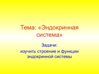 Строение и функции эндокринной системы