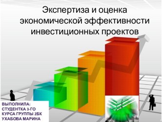 Экспертиза и оценка экономической эффективности инвестиционных проектов