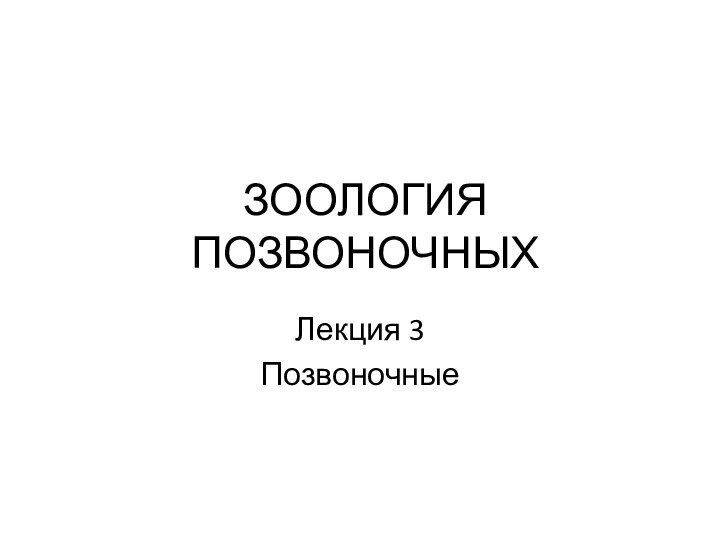 ЗООЛОГИЯ ПОЗВОНОЧНЫХЛекция 3Позвоночные