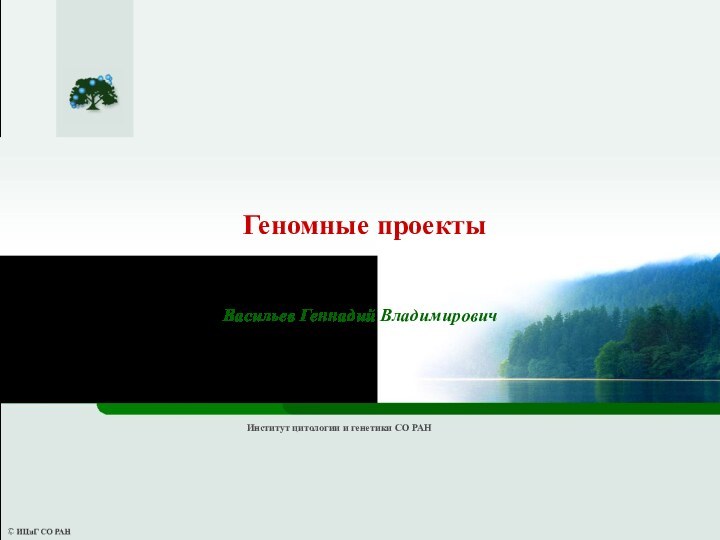 Васильев Геннадий ВладимировичГеномные проектыИнститут цитологии и генетики СО РАН