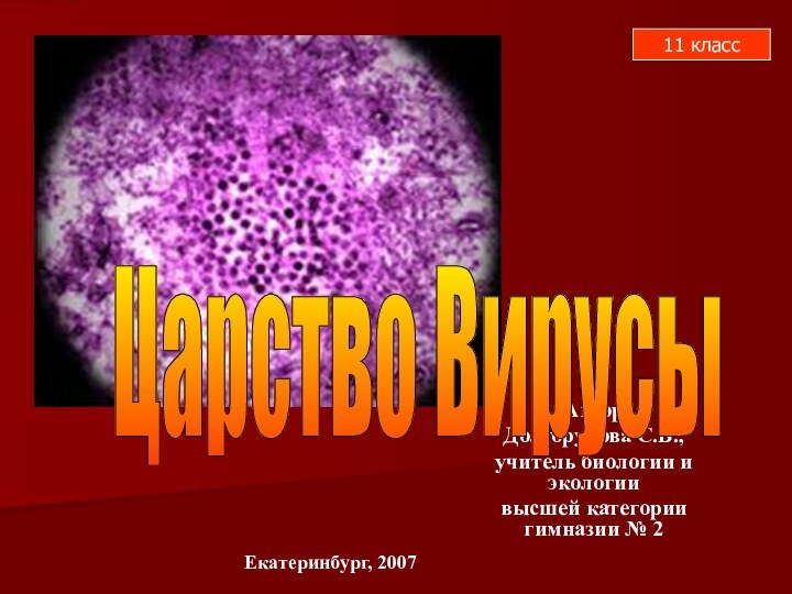 АвторДолгорукова С.В.,учитель биологии и экологиивысшей категории гимназии № 2Царство ВирусыЕкатеринбург, 200711 класс