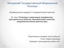 Ротавирус и аденовирус (морфология, культуральные свойства, биохимические свойства, микробиологическая диагностика)