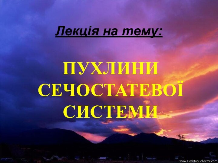 Лекція на тему:ПУХЛИНИ СЕЧОСТАТЕВОЇ СИСТЕМИ