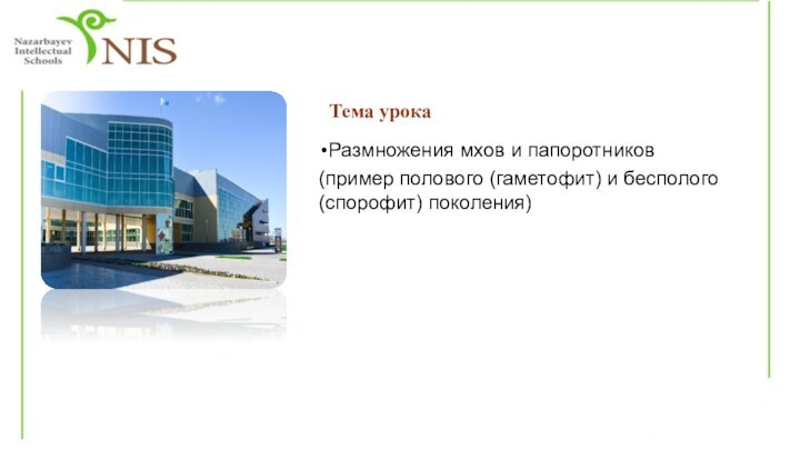 Тема урокаРазмножения мхов и папоротников (пример полового (гаметофит) и бесполого (спорофит) поколения)