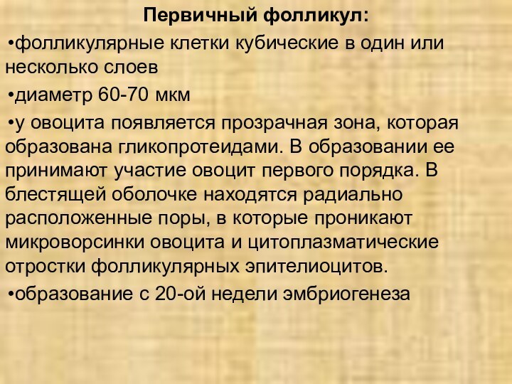 Первичный фолликул:фолликулярные клетки кубические в один или несколько слоевдиаметр 60-70 мкму овоцита