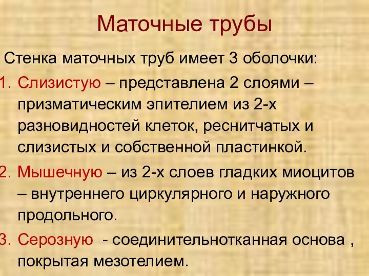 Маточные трубыСтенка маточных труб имеет 3 оболочки:Слизистую – представлена 2 слоями –