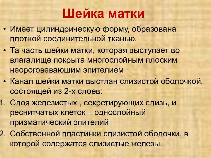 Шейка маткиИмеет цилиндрическую форму, образована плотной соединительной тканью.Та часть шейки матки, которая