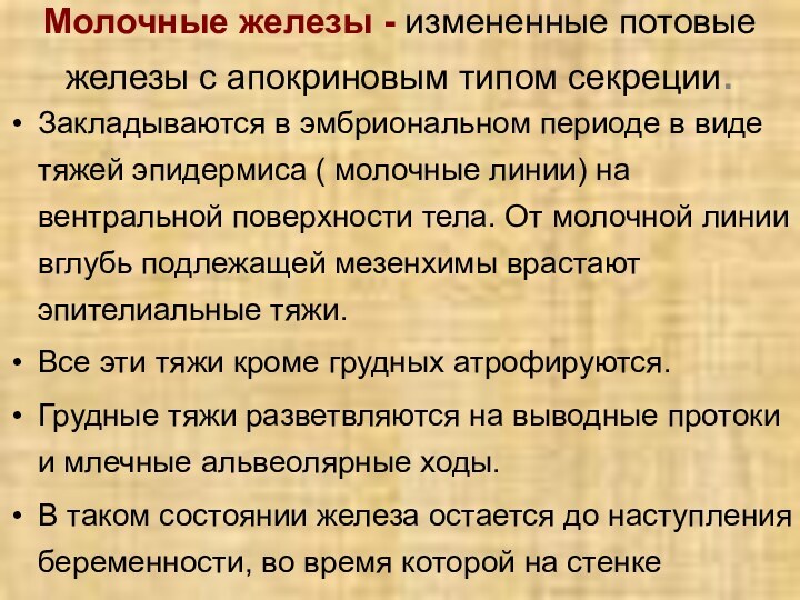 Молочные железы - измененные потовые железы с апокриновым типом секреции. Закладываются в