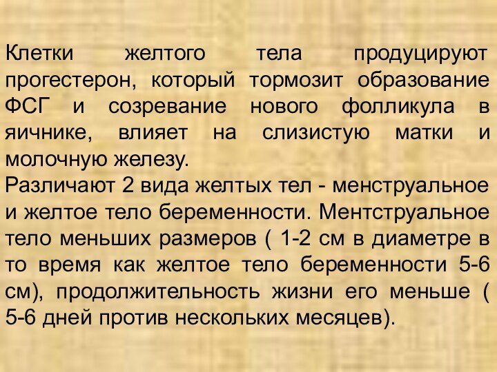 Клетки желтого тела продуцируют прогестерон, который тормозит образование ФСГ и созревание нового