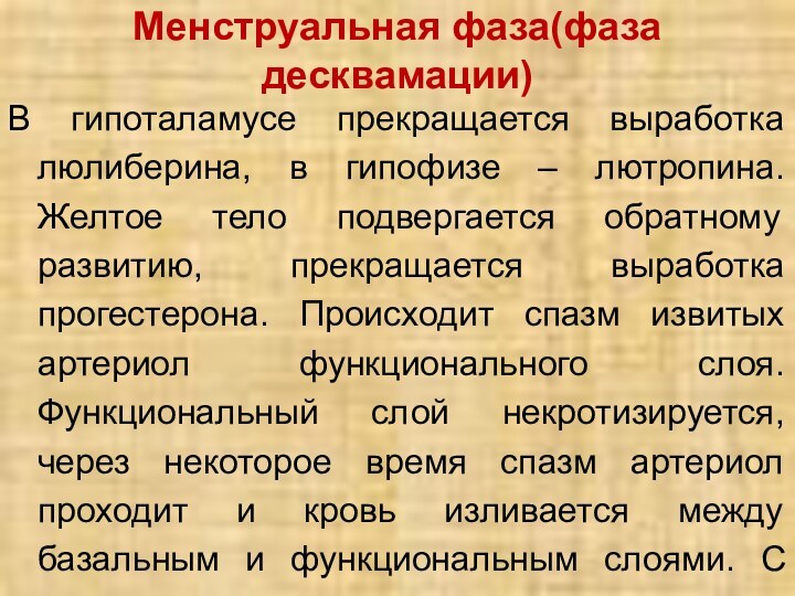Менструальная фаза(фаза десквамации)В гипоталамусе прекращается выработка люлиберина, в гипофизе – лютропина. Желтое