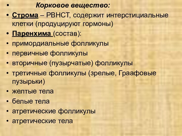 Корковое вещество:Строма – РВНСТ, содержит интерстициальные