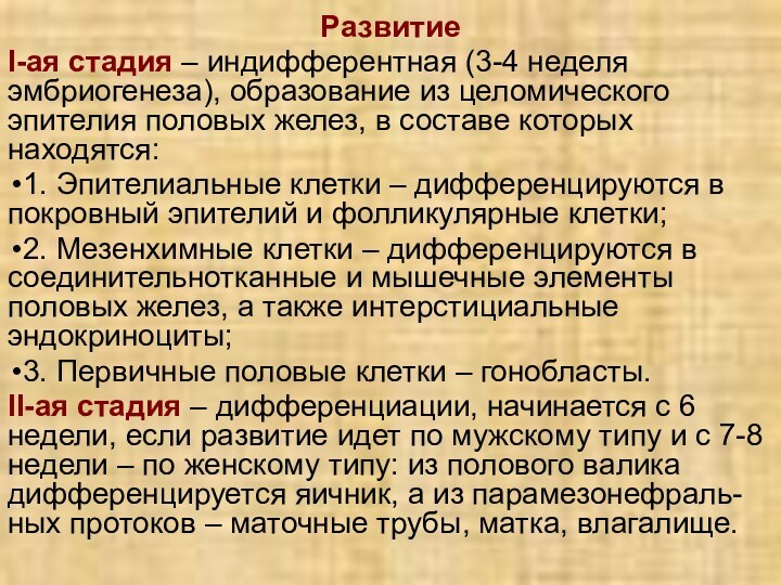 РазвитиеІ-ая стадия – индифферентная (3-4 неделя эмбриогенеза), образование из целомического эпителия половых