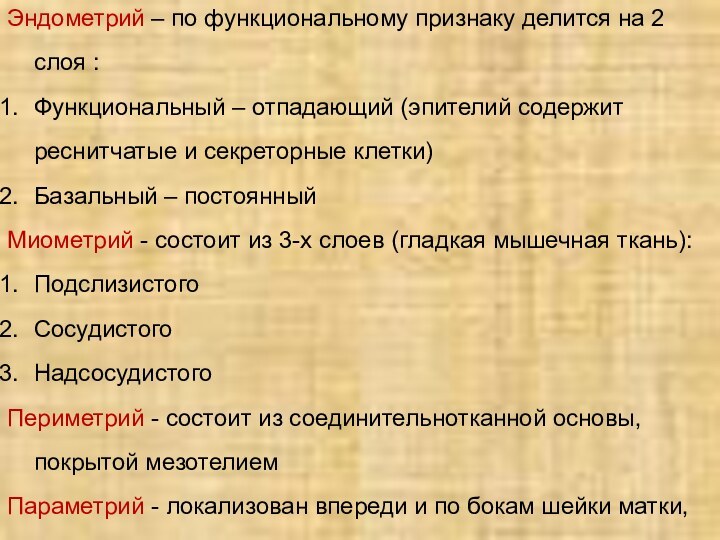 Эндометрий – по функциональному признаку делится на 2 слоя :Функциональный – отпадающий