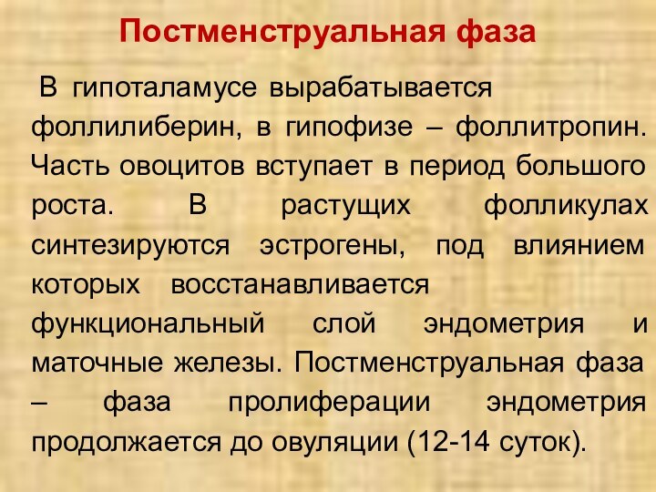 Постменструальная фаза	В 	гипоталамусе 	вырабатывается фоллилиберин, в гипофизе – фоллитропин. Часть овоцитов вступает