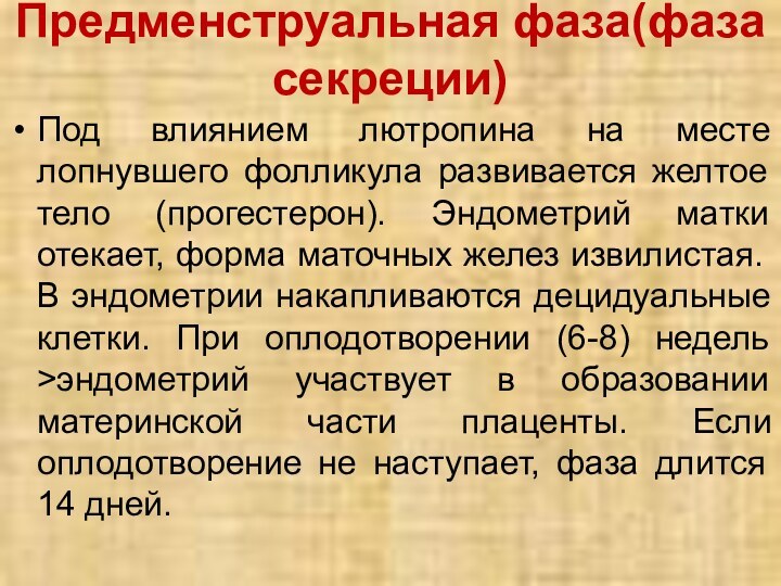 Предменструальная фаза(фаза секреции)Под влиянием лютропина на месте лопнувшего фолликула развивается желтое тело