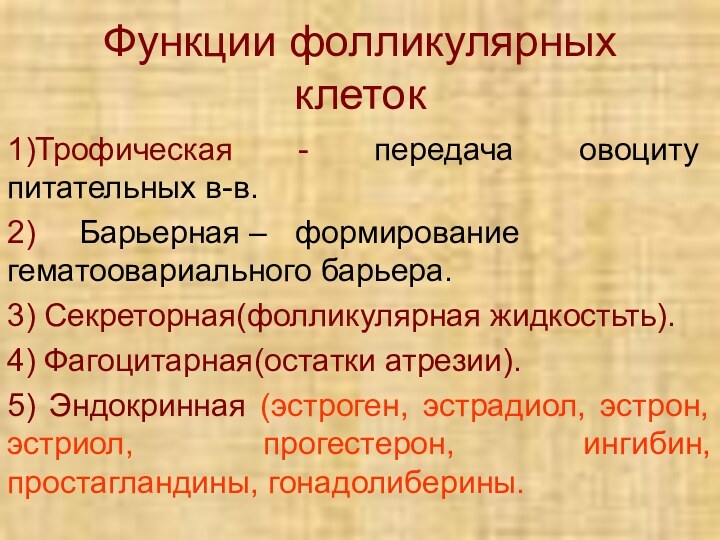 Функции фолликулярных клеток1)Трофическая - передача овоциту питательных в-в.2) 	Барьерная – 	формирование гематоовариального