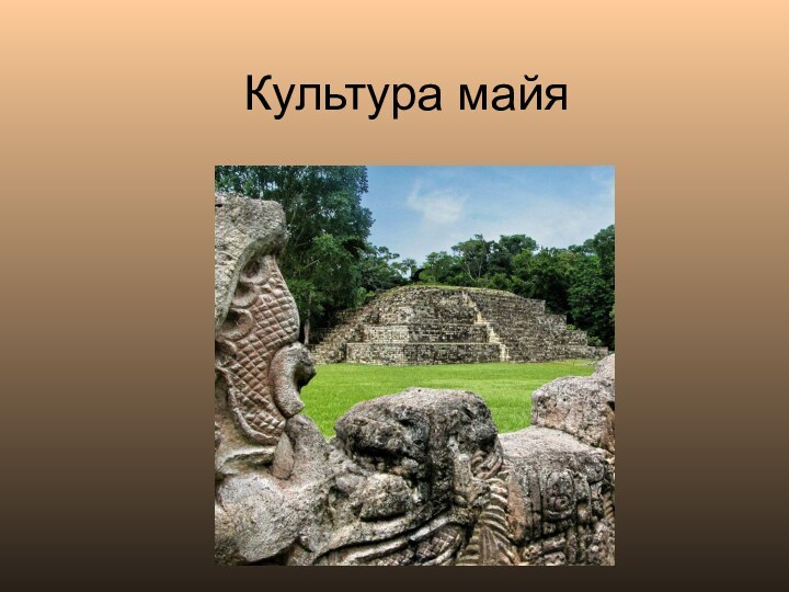 Культура майя