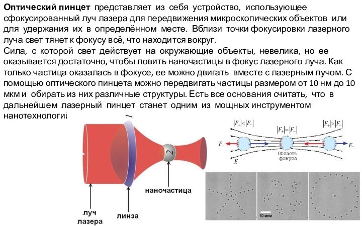 Оптический пинцет представляет из себя устройство, использующее сфокусированный луч лазера для передвижения