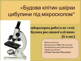 Будова клітин шкірки цибулини під мікроскопом