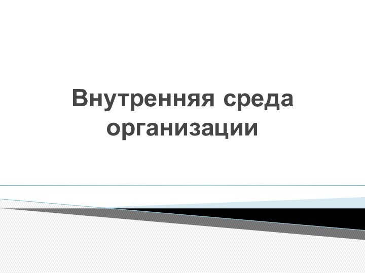 Внутренняя среда организации