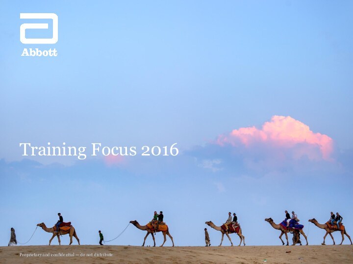 Training Focus 2016