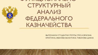 Функционально-структурный анализ федерального казначейства