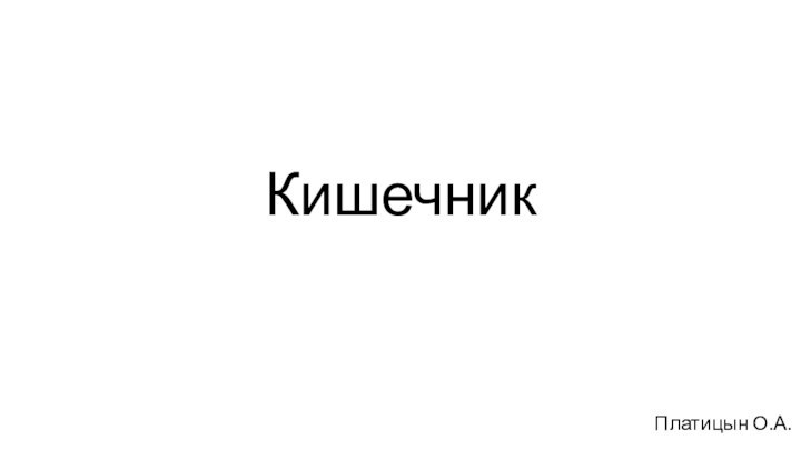 КишечникПлатицын О.А.