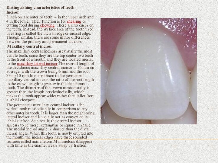 Distinguishing characteristics of teethIncisor8 incisors are anterior teeth, 4 in the upper